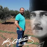 Tarık