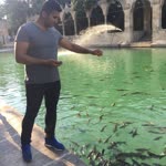 Profil fotoğrafı