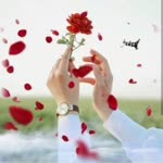 Sibel