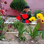 Evren