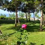 Sevilay