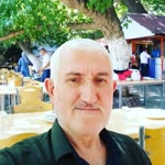 Şahin