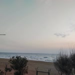 Betül