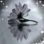 Meral
