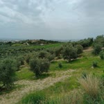 Gürcan