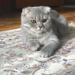 Hülya