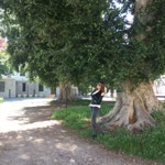Derya