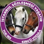 Feyzan