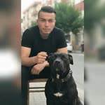 Bolat