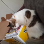 Zeynep