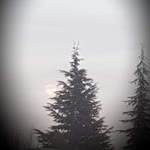 Serdar
