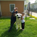 Soner