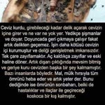Halenur