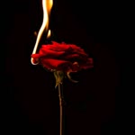 Serdar