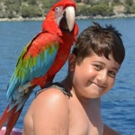 Erhan