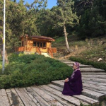 Havva