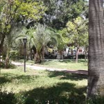 Davut