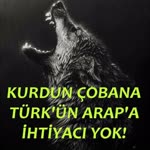 Mert