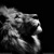profile-icon