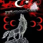 Selahaddin