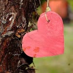 Ebrar