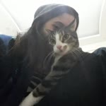 İrem