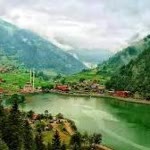 Süleyman