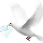 Nihat