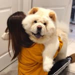 Saida