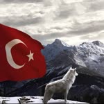 Salih