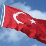 Pelin