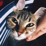 Zeynep