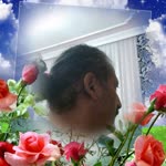 Ali
