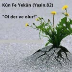 Cihat
