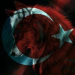 Aynur