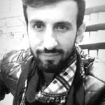 Şahin