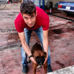Halil