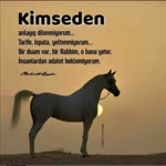 Elif
