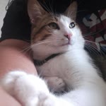 Zeynep