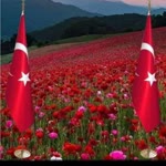 Selahattin