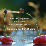 Gülşen