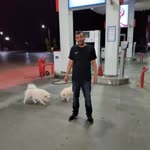 Orhan