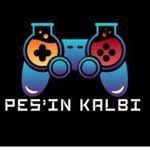 Pesin
