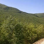 Aslıhan