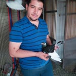 Davut