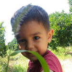 Figen