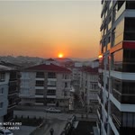 Sedat
