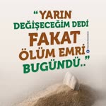 Veli