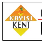 Kayısıkent