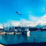 Furkan
